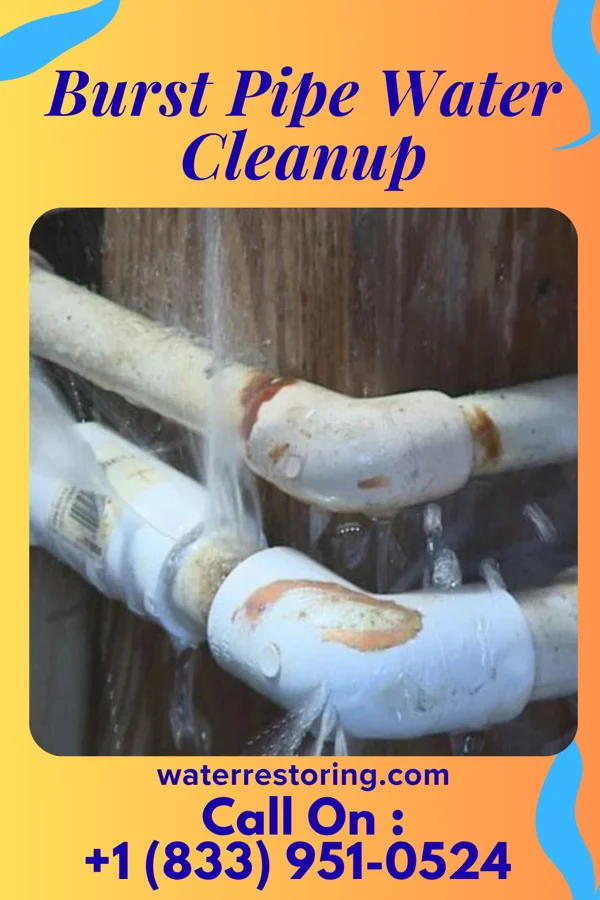 Burst Pipe Water Cleanup in Chical, NM