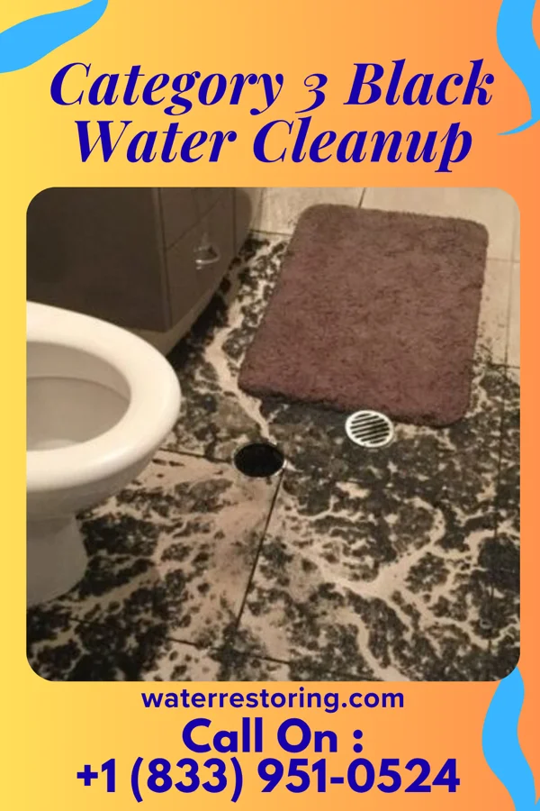Category 3 Black Water Cleanup in Chical, NM
