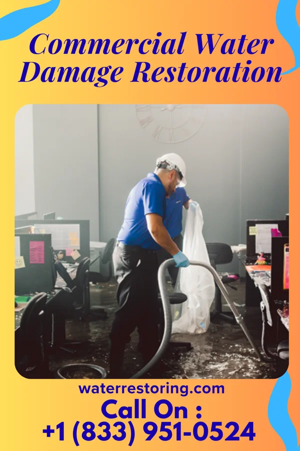 Commercial Water Damage Restoration in Chical, NM