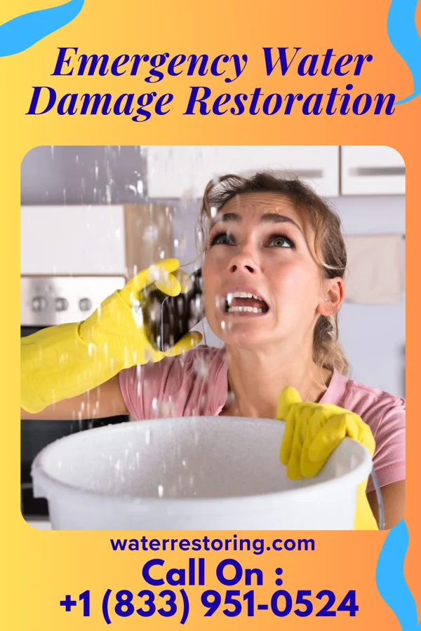 Emergency Water Damage Restoration in Chical, NM