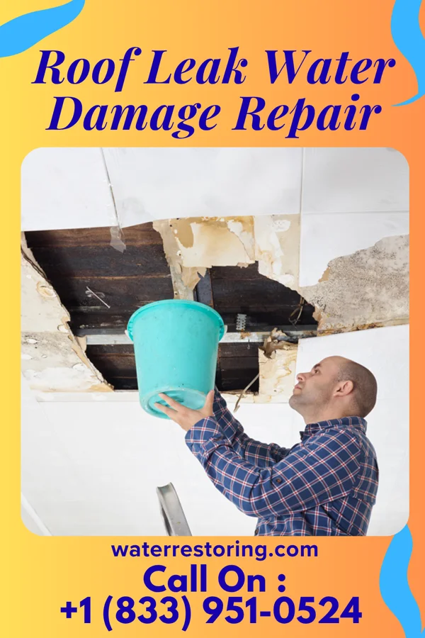 Roof Leak Water Damage Repair in Chical, NM
